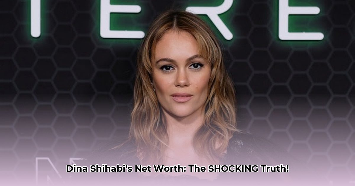 dina-shihabi-net-worth
